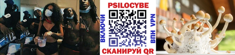 Псилоцибиновые грибы Cubensis  Назарово 