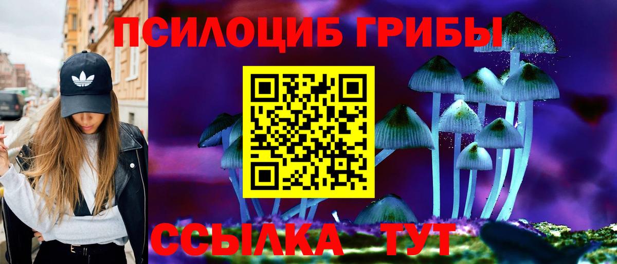 Псилоцибиновые грибы Cubensis Назарово